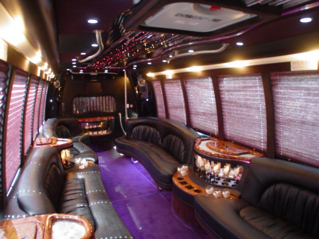 Houston Party BUses, Houston party bus, houston party bus renta, party bus rentals houston, limo party buses in houston